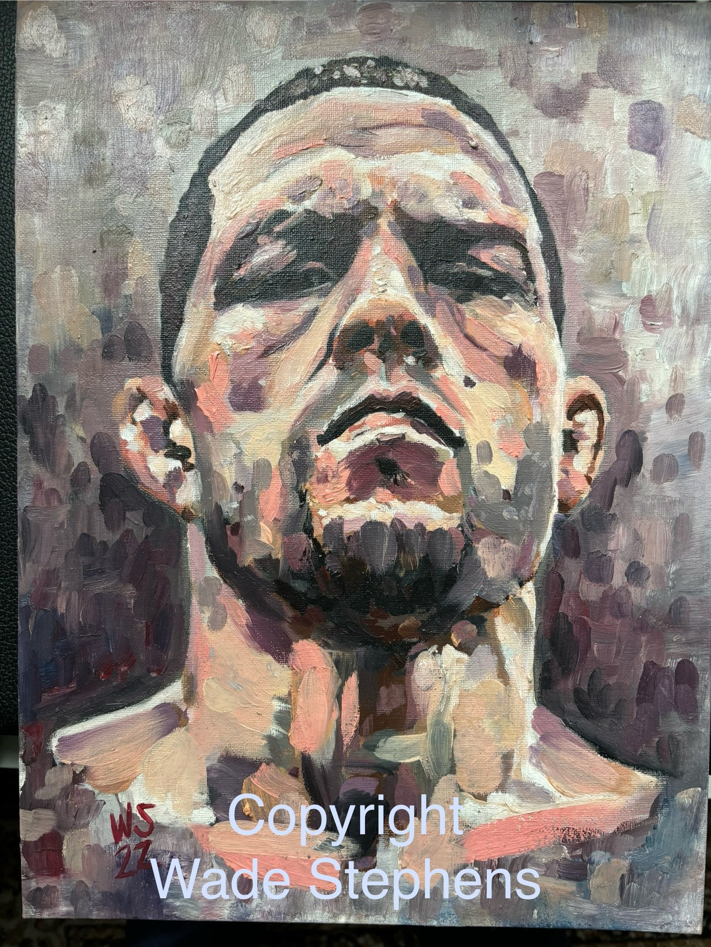 ‘Nate Diaz’ oil on canvas.